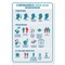 Signmission Flu Sign, Safety Advice And Tips, 5in X 3.5in Decal, 10PK, 3.5" W, 5" L, Safety Advice And Tips OS-NS-D-35-25589-10PK - alternate 1